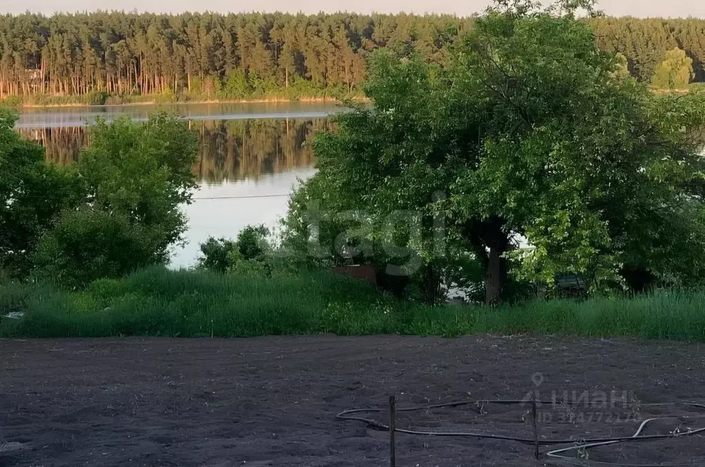 Участок в Белгородская область, Белгородский район, Тавровское с/пос, ... - Фото 1