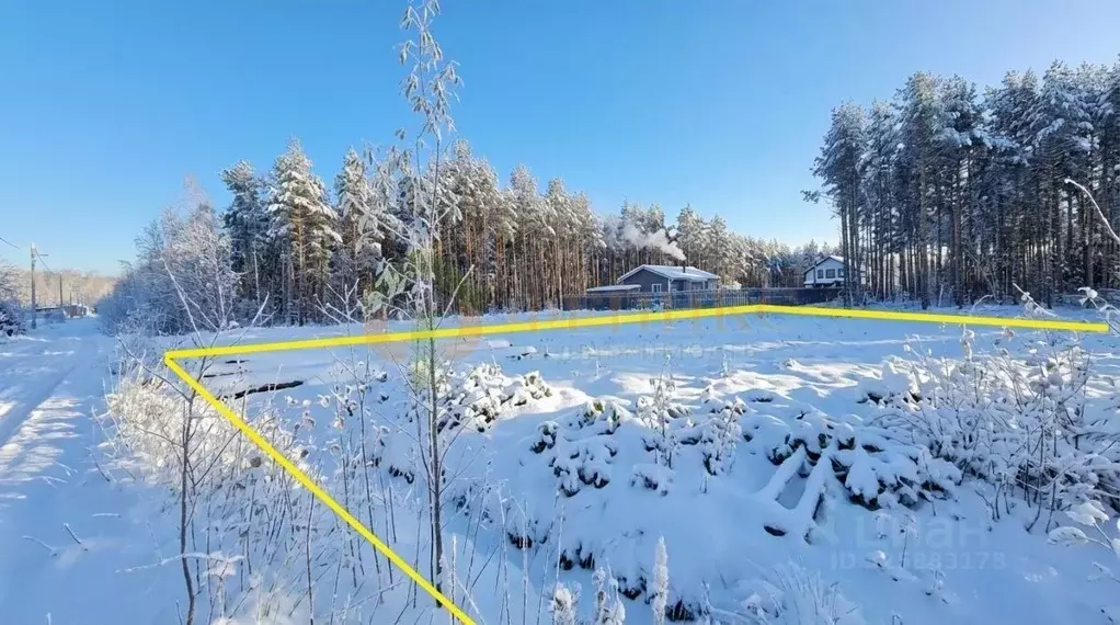 Участок в Ленинградская область, Кировский район, Синявинское ... - Фото 1