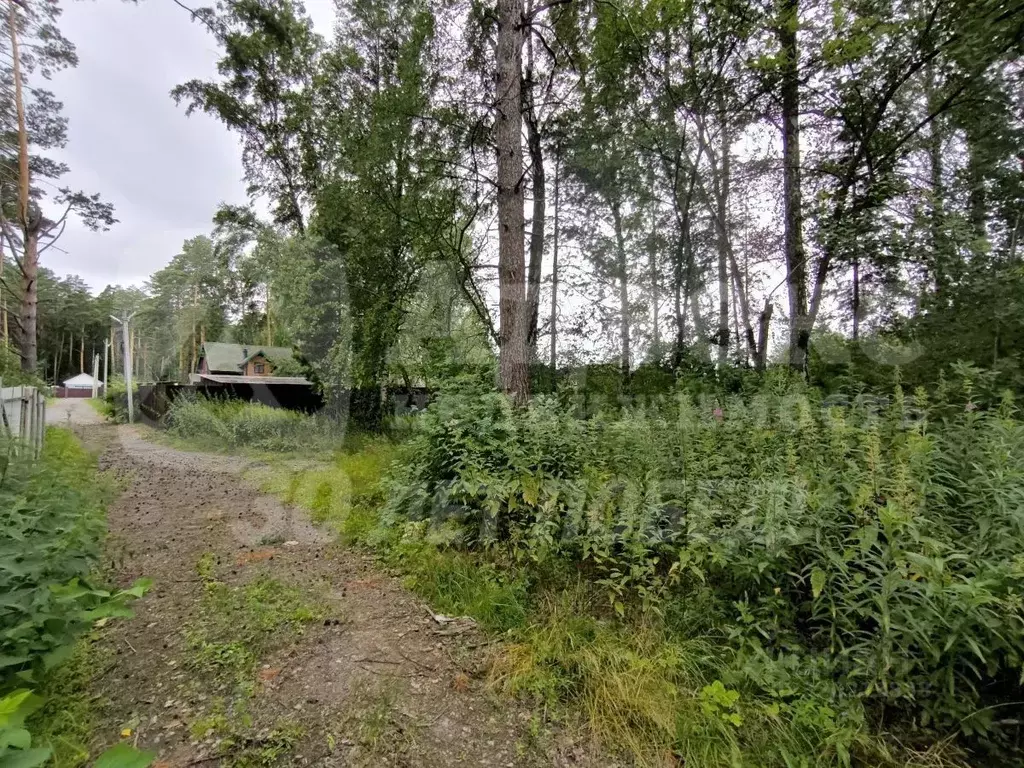 Участок в Тюменская область, Тюменский район, с. Перевалово Заречная ... - Фото 1