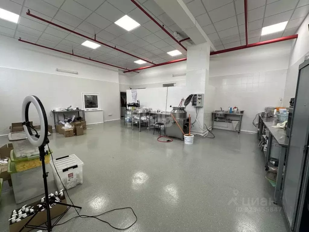 Склад в Новосибирская область, Новосибирск ул. Писемского, 6 (121 м) - Фото 1