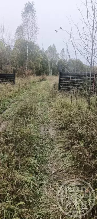 Участок в Ленинградская область, Лужский район, Заклинское с/пос, д. ... - Фото 2
