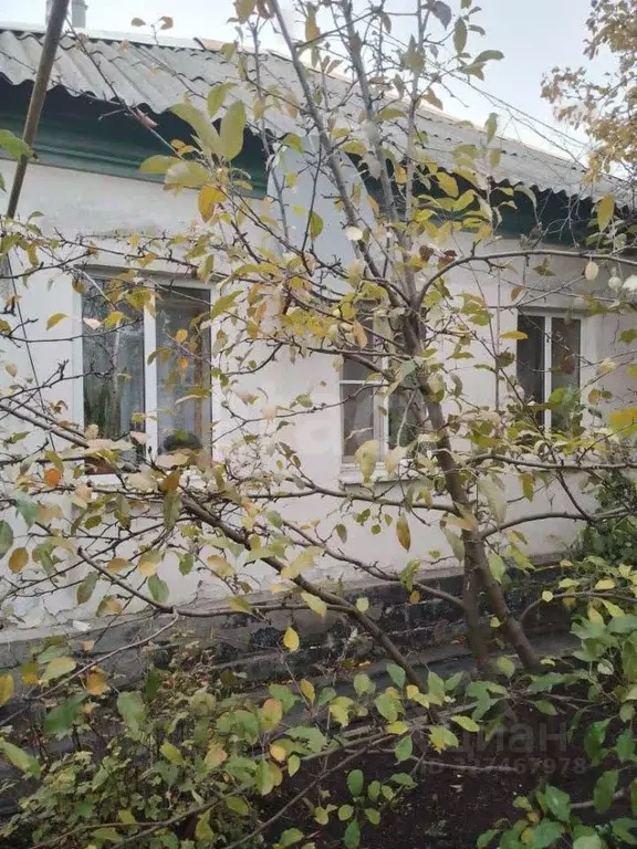 Дом в Ростовская область, Новошахтинск ул. Калинина (82 м) - Фото 1