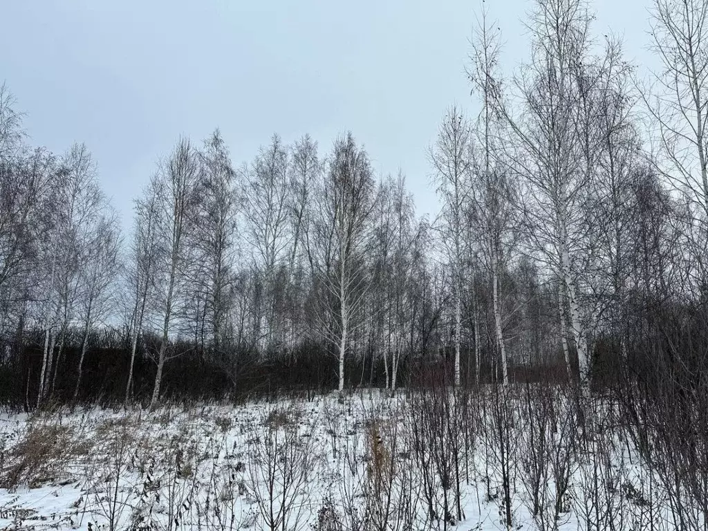 Участок в Башкортостан, Уфимский район, Булгаковский сельсовет, ... - Фото 1