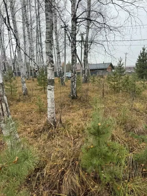 Участок в Свердловская область, Екатеринбург Юбилейный ДСК, 48 (16.4 ... - Фото 1