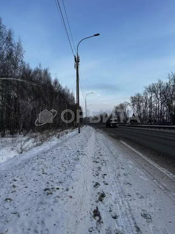 Участок в Тюменская область, Тюмень Березняковский мкр, ул. Степана ... - Фото 0