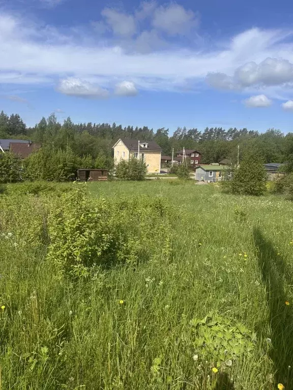 Участок в Ленинградская область, Выборгский район, Рощинское городское ... - Фото 2