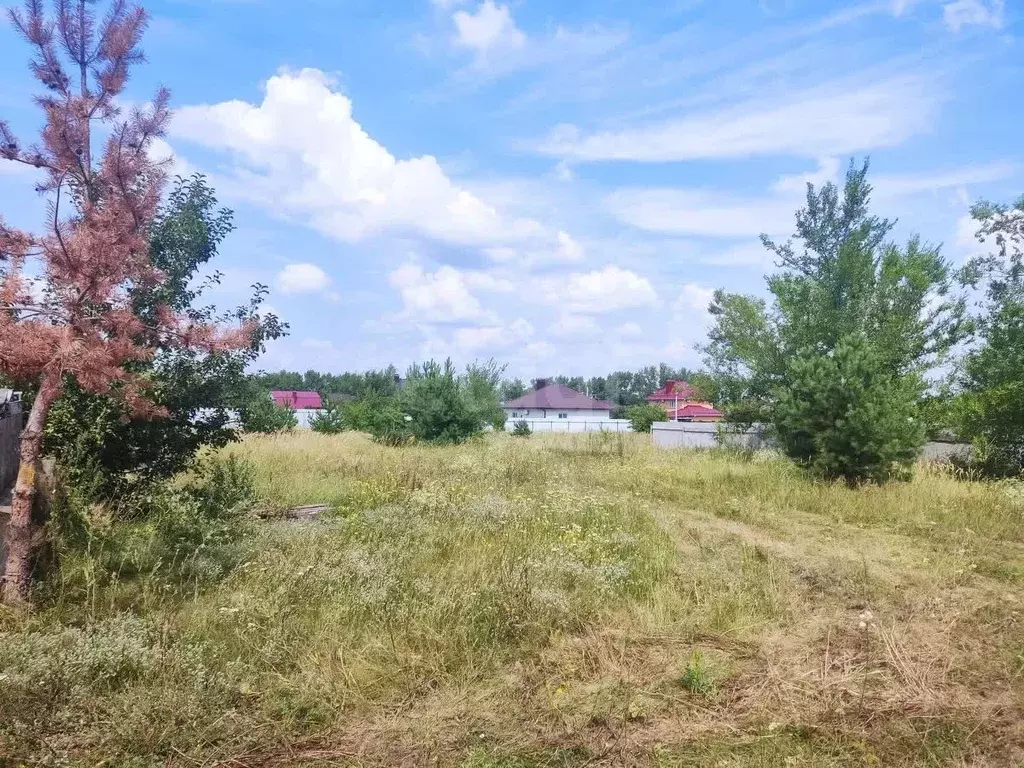 Участок в Воронежская область, Новоусманский район, Отрадненское ... - Фото 1