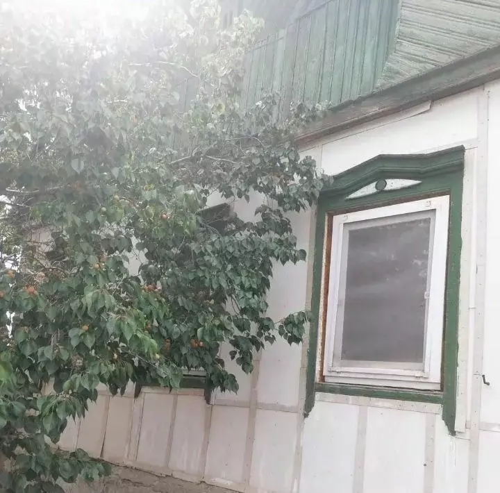 Дом в Оренбургская область, Орск пос. Первомайский, ул. Апрельская (62 ... - Фото 1