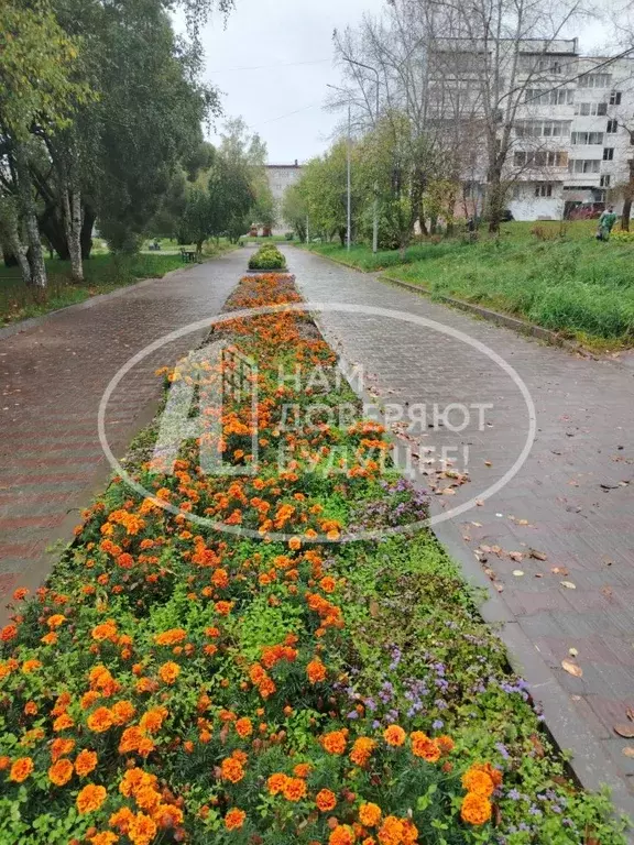 2-к кв. Пермский край, Добрянка пер. Строителей, 3Б (45.5 м) - Фото 1