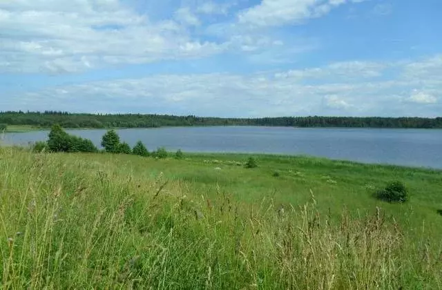 Участок в Новгородская область, Валдайский район, Ивантеевское с/пос, ... - Фото 1