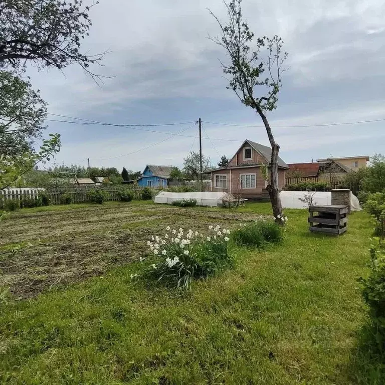 Дом в Вологодская область, Вологда Черемушки-3 садоводческое ... - Фото 1