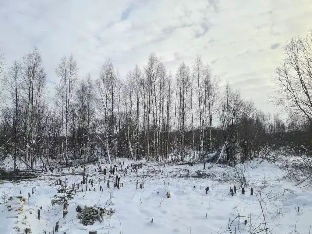 Участок в Московская область, Истра муниципальный округ, с. Онуфриево ... - Фото 1