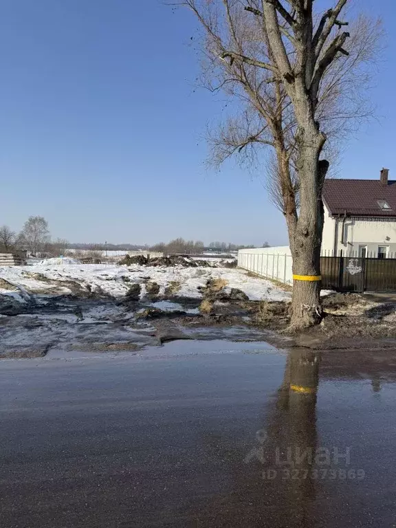 Участок в Калининградская область, Гурьевский муниципальный округ, ... - Фото 1