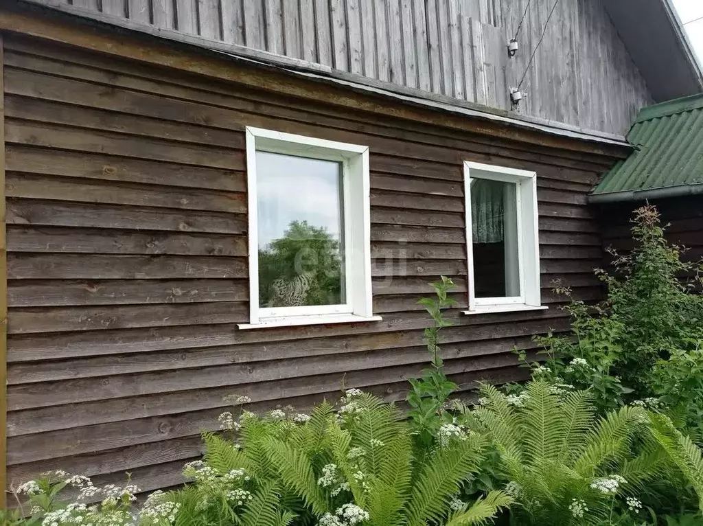 Дом в Псковская область, Пыталовский муниципальный округ, д. Кокшино  ... - Фото 2