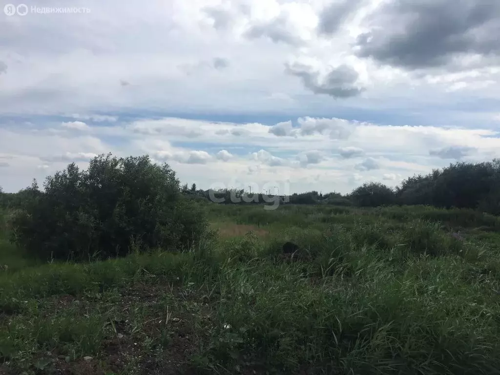 Участок в посёлок Заря, Заринская улица (12.5 м) - Фото 1