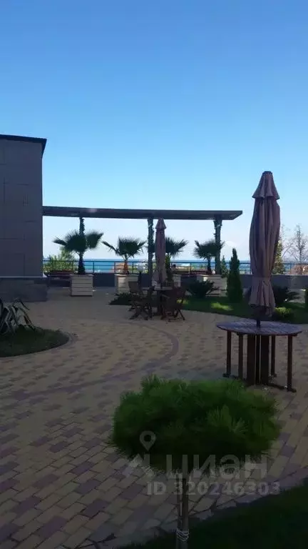 1-к кв. Краснодарский край, Сочи ул. Ленина, 298Бк1 (32.0 м) - Фото 1