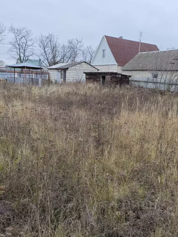 Участок в Воронежская область, с. Новая Усмань ул. 2-я Первомайская, ... - Фото 1