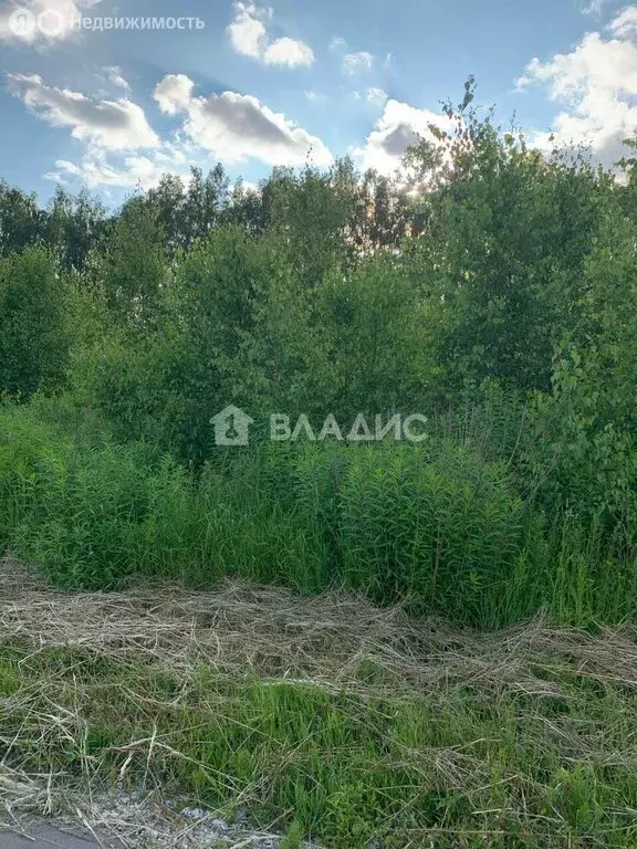 Участок в деревня Кожевенное, Преображенская улица, 17 (10 м) - Фото 0