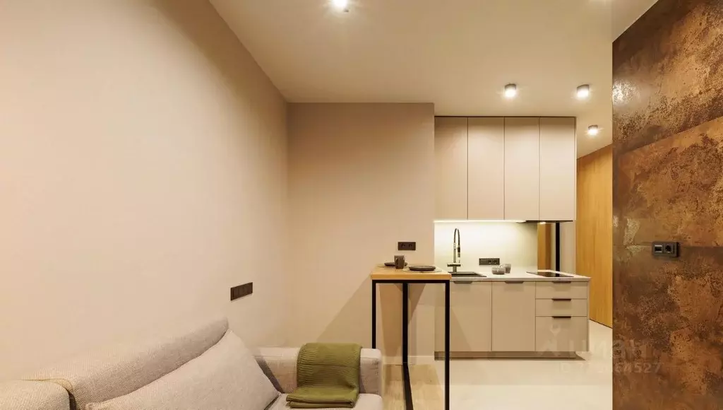 1-к кв. Краснодарский край, Сочи ул. Гагарина, 1 (27.0 м) - Фото 1