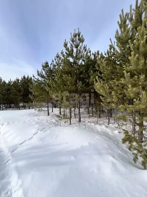 Участок в Свердловская область, Екатеринбург Верхнемакарово кп,  (12.5 ... - Фото 1