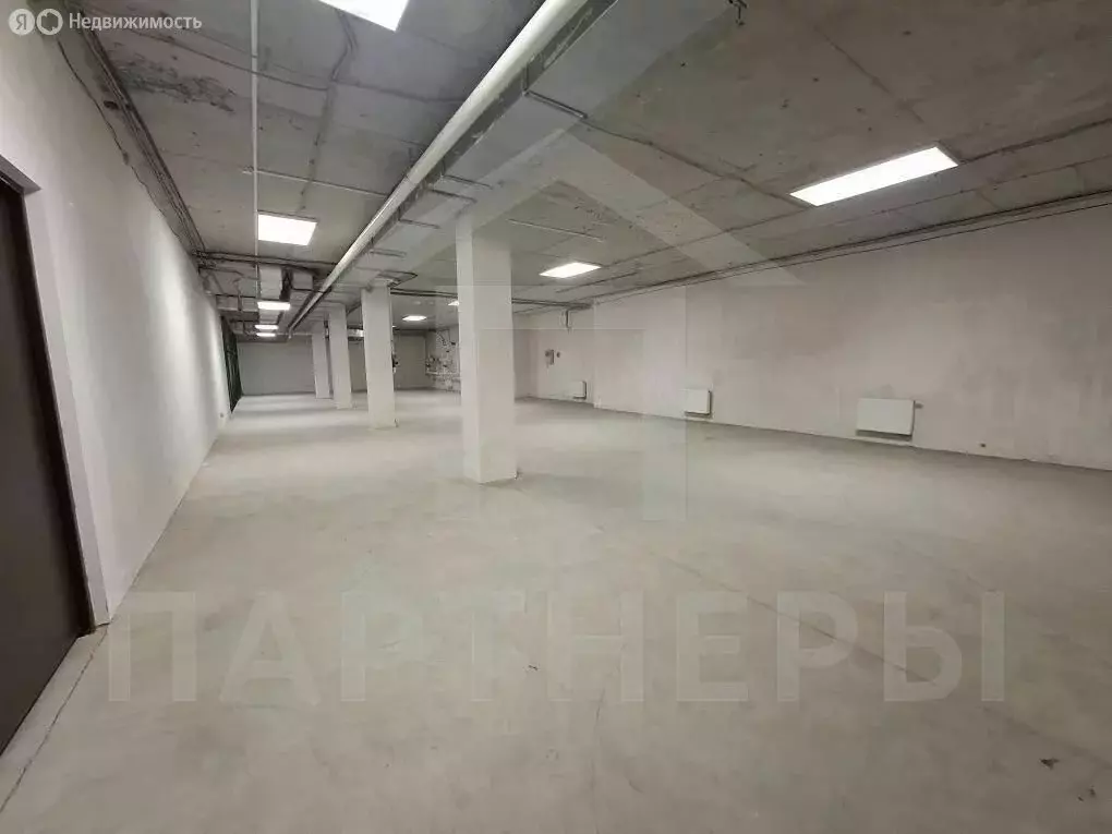 Помещение свободного назначения (254 м) - Фото 2