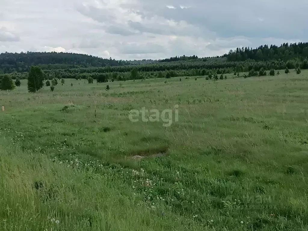 Участок в Иркутская область, Залари рп  (2000.0 сот.) - Фото 1
