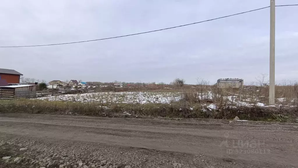 Участок в Алтайский край, Барнаул городской округ, пос. Центральный ... - Фото 2