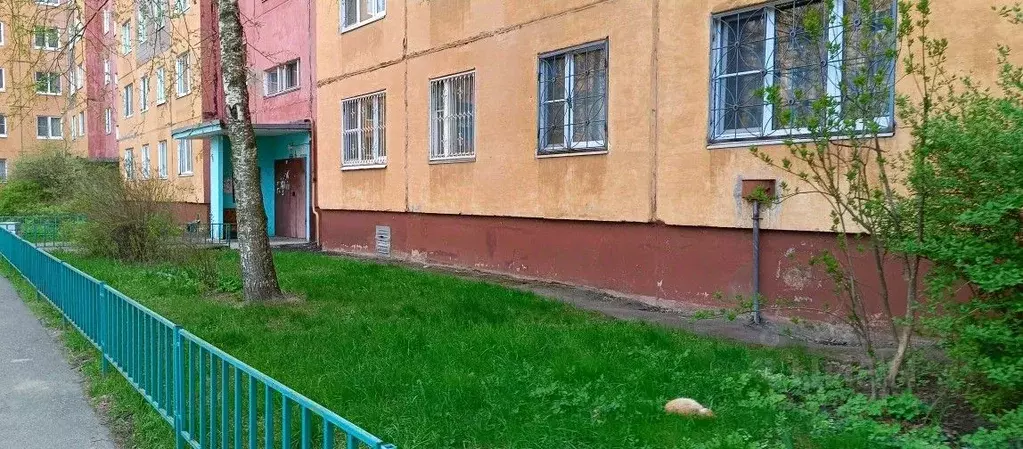 Помещение свободного назначения в Ярославская область, Ярославль ... - Фото 0