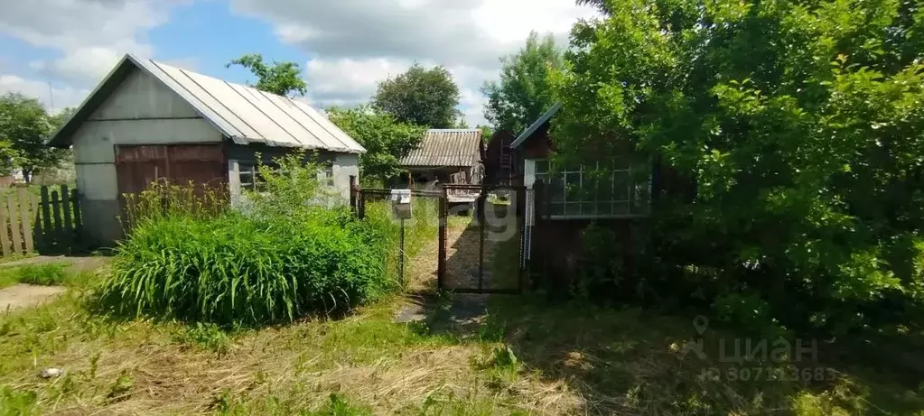 Дом в Смоленская область, Рудня Школьная ул. (44 м) - Фото 1