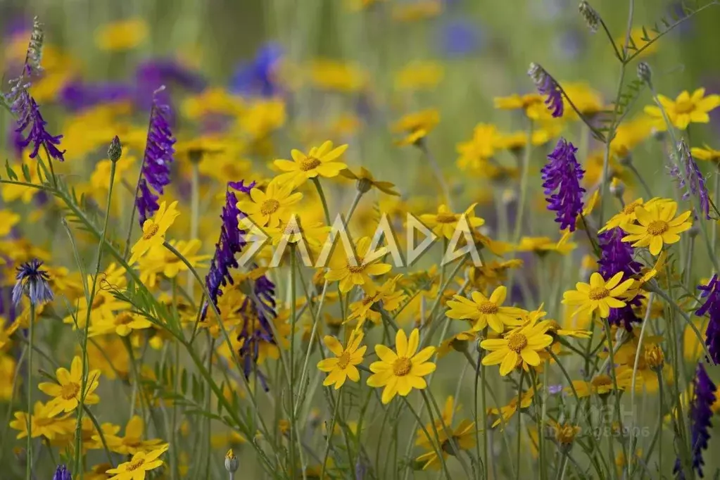 Участок в Ростовская область, Аксайский район, Щепкинское с/пос, ... - Фото 1