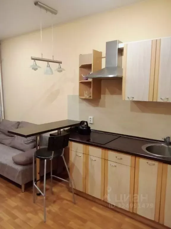 Студия Ленинградская область, Кудрово г. Всеволожский район, Заневское ... - Фото 1