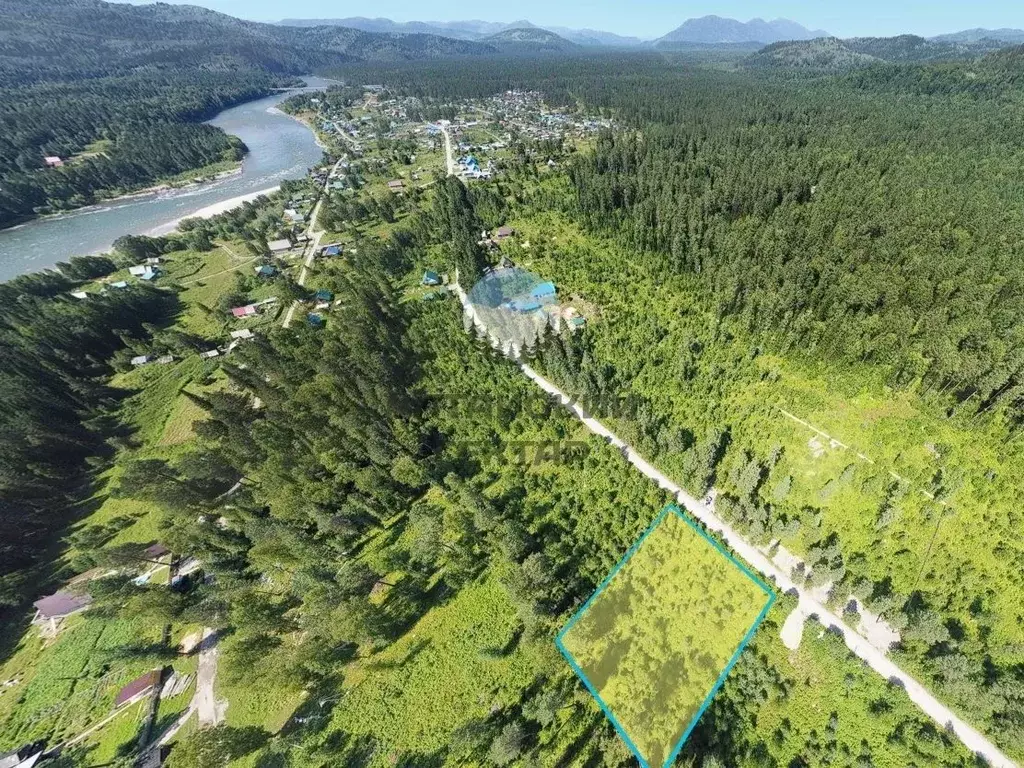 Участок в Алтай, Турочакский район, с. Верх-Бийск ул. Болотово, 17 ... - Фото 1