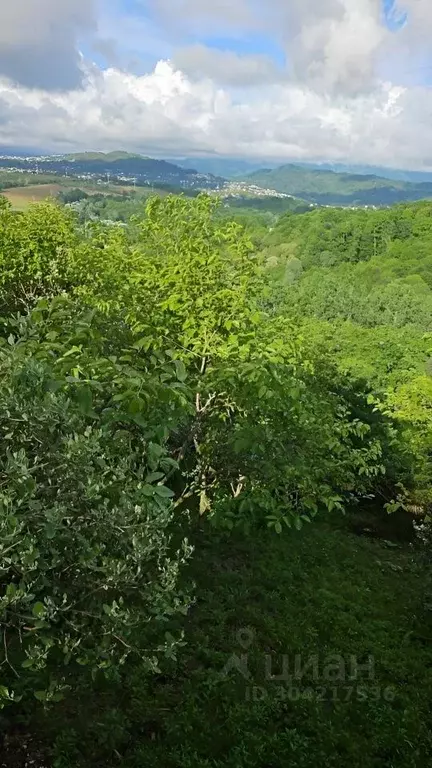 Участок в Краснодарский край, Сочи городской округ, с. Черешня ул. ... - Фото 0