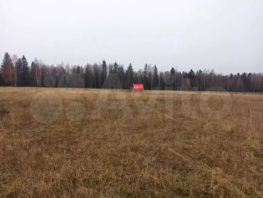 Участок 15 сот. (ИЖС) - Фото 0