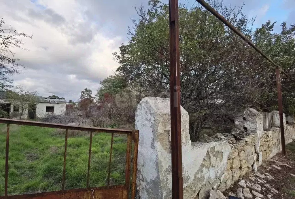 Участок в Крым, Черноморский район, с. Межводное ул. Октябрьская, 45 ... - Фото 1