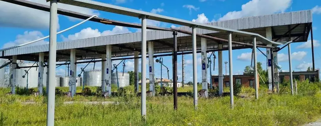 Производственное помещение в Новосибирская область, Каргат Советская ... - Фото 2