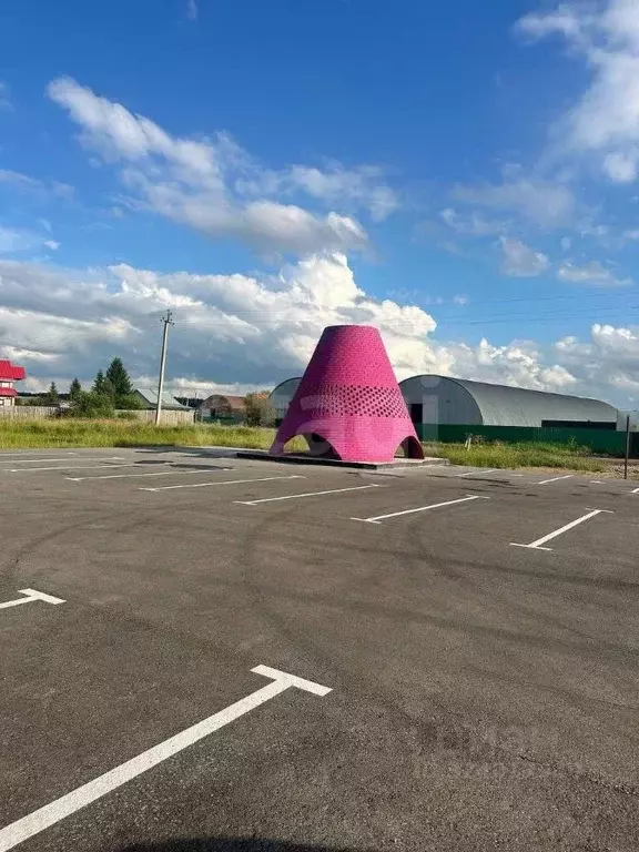 Участок в Свердловская область, Тугулымский муниципальный округ, с. ... - Фото 1