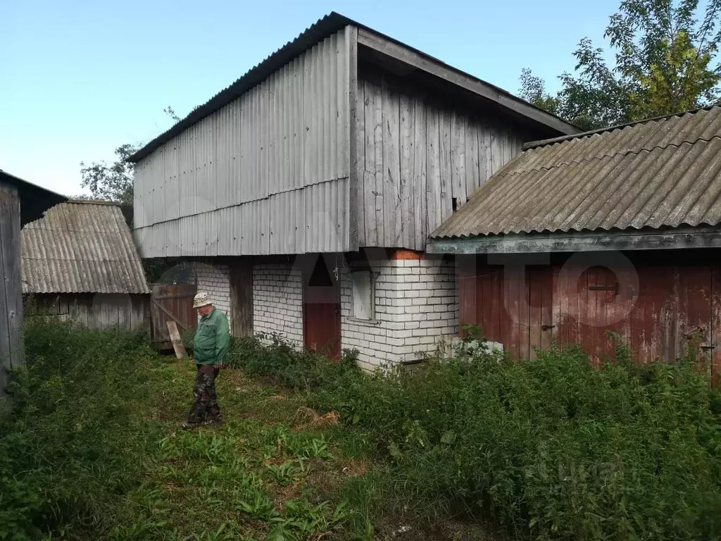 Ойкас яндоба в фотографиях