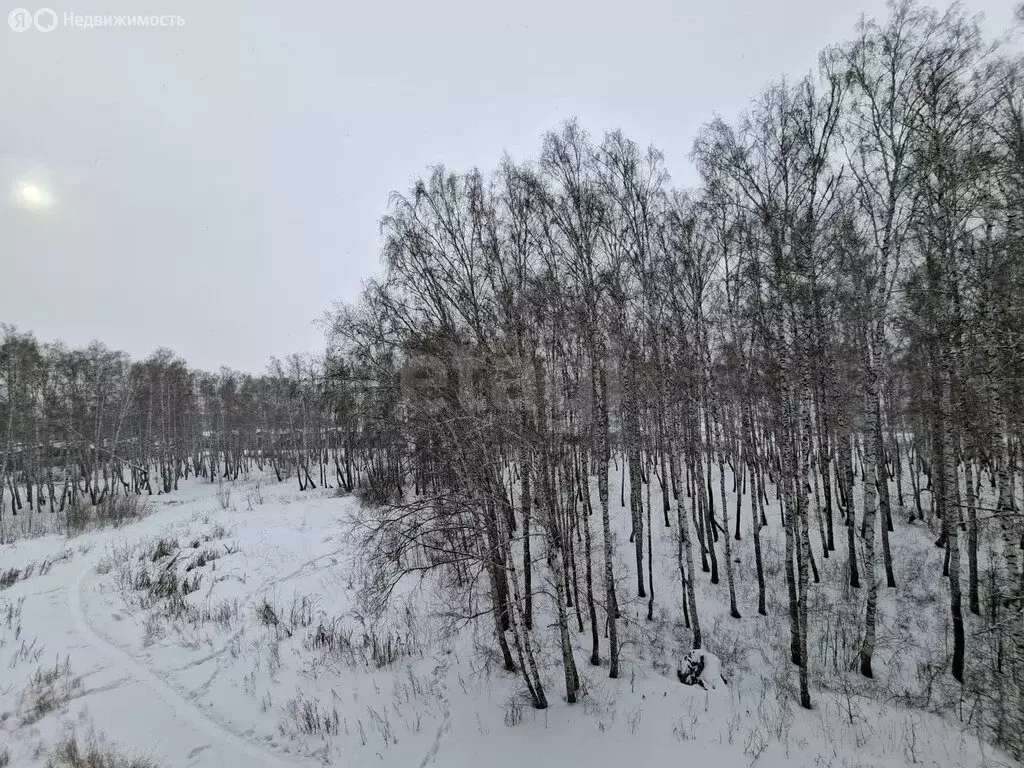 1-комнатная квартира: посёлок Красное Поле, квартал Звёздный, улица ... - Фото 1