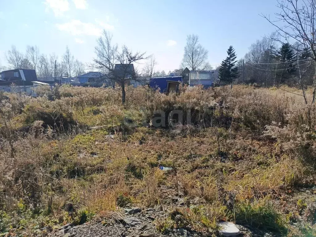 Участок в Сахалинская область, Южно-Сахалинск Малинка-2 СНТ, 52 (7.11 ... - Фото 1