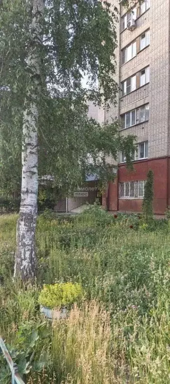 1-к кв. Липецкая область, Липецк ул. Водопьянова, 14 (32.0 м) - Фото 2