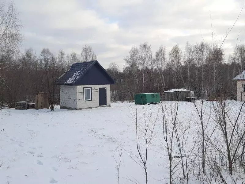 Дом в Алтайский край, Барнаул городской округ, пос. Бельмесево пер. ... - Фото 2