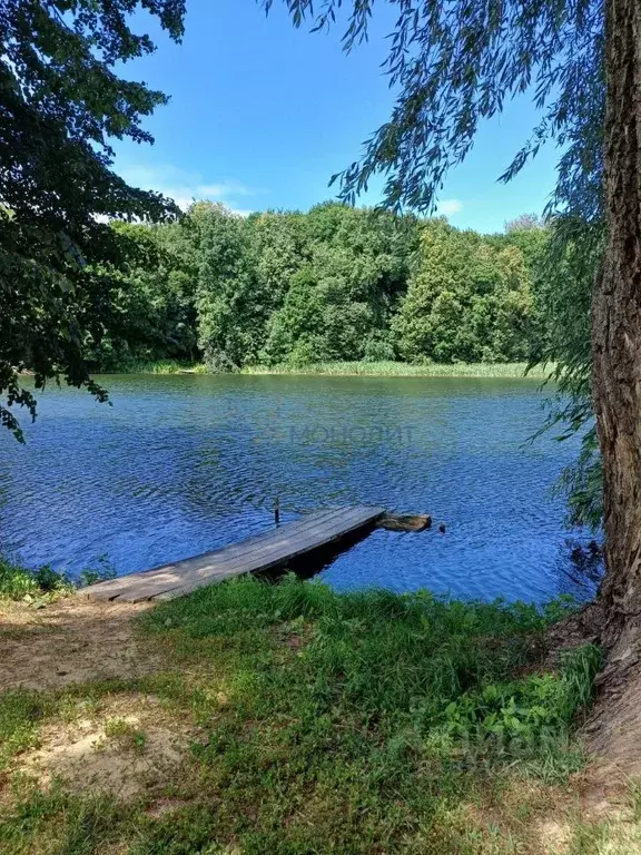Дом в Нижегородская область, Богородский муниципальный округ, с. ... - Фото 1
