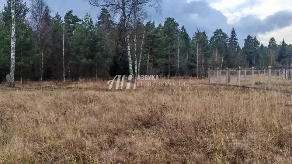 Участок в Московская область, Богородский городской округ, с. Ямкино ... - Фото 0