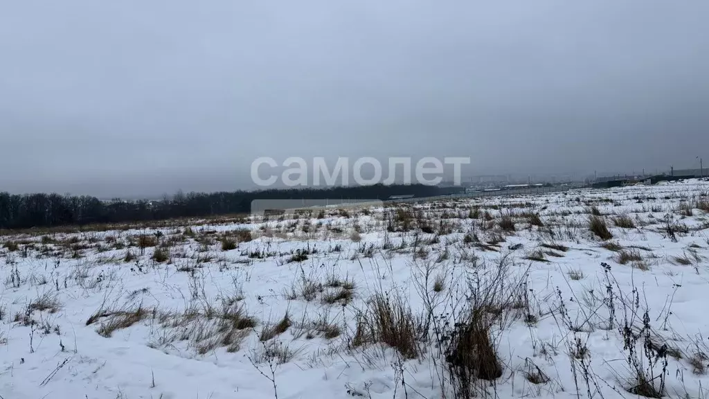 Участок в Курская область, Курский район, Моковский сельсовет, д. 1-я ... - Фото 2