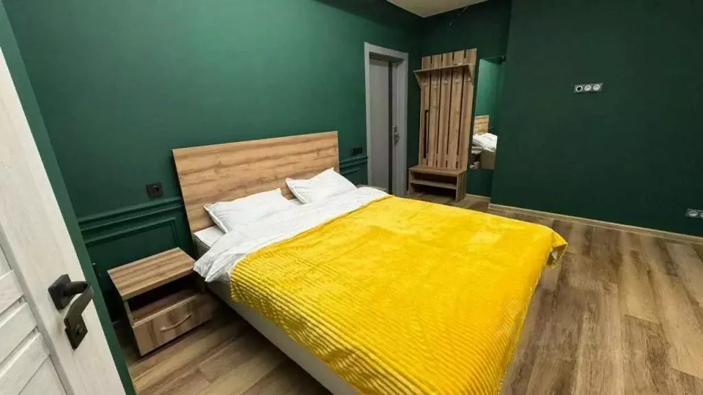 1-к кв. Татарстан, Казань ул. Волкова, 52 (20.0 м) - Фото 2