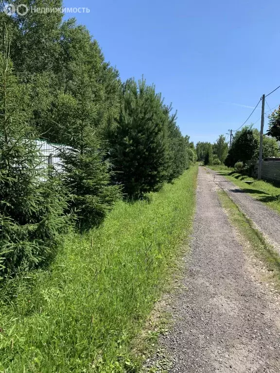 Дом в Московская область, городской округ Чехов, село Дубна (60 м) - Фото 0