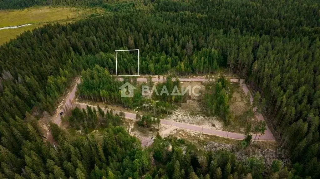 Участок в Ленинградская область, Выборгский район, Рощино пгт проезд ... - Фото 1