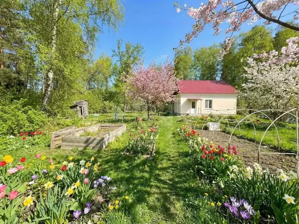 Дом в Московская область, Раменский муниципальный округ, д. Дементьево ... - Фото 1