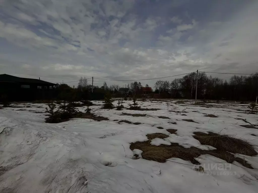 Участок в Московская область, Раменское Гостица мкр, Восточная Гостица ... - Фото 2